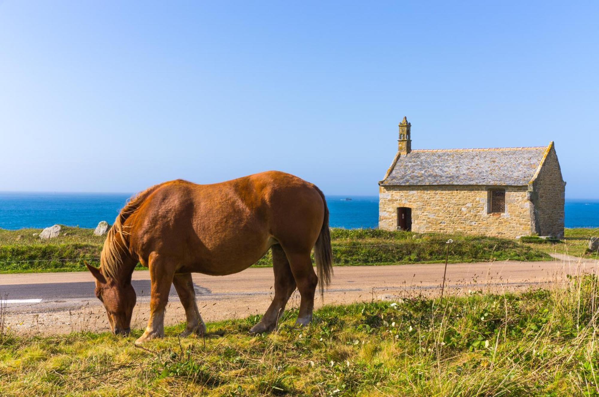 Penn Ar Roz - Grande Maison Familiale Proche Mer Saint-Pabu  Εξωτερικό φωτογραφία
